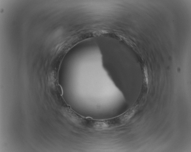 X0000071780519200606301223