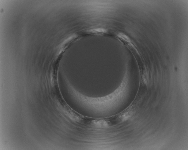 X0000071780520200606301223