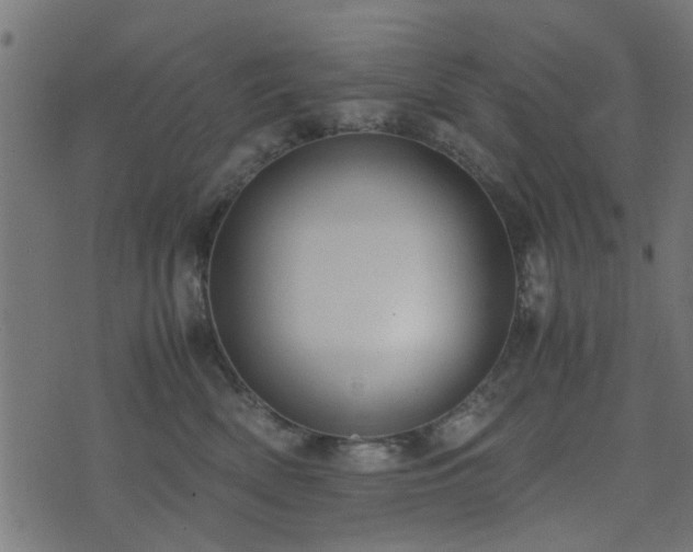 X0000071780522200606301223