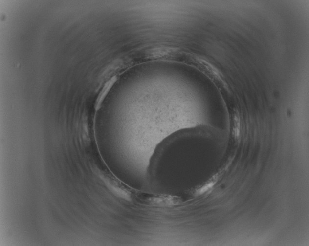 X0000071780524200606301223