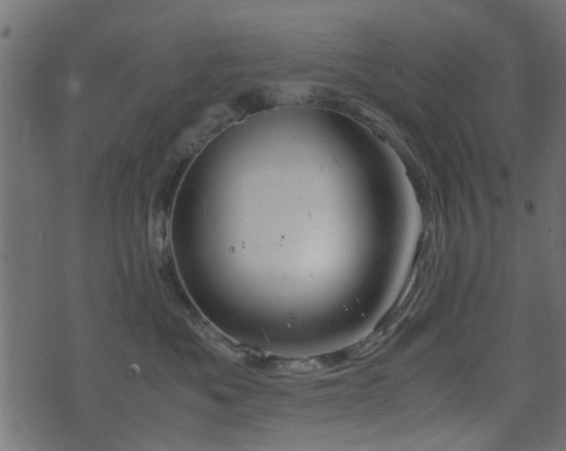 X0000071780525200606301223