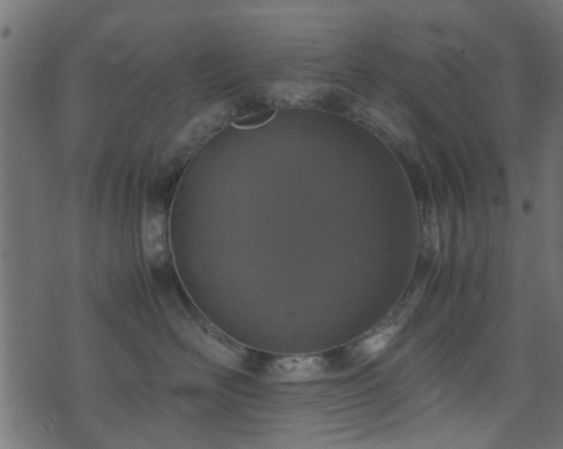 X0000071780526200606301223