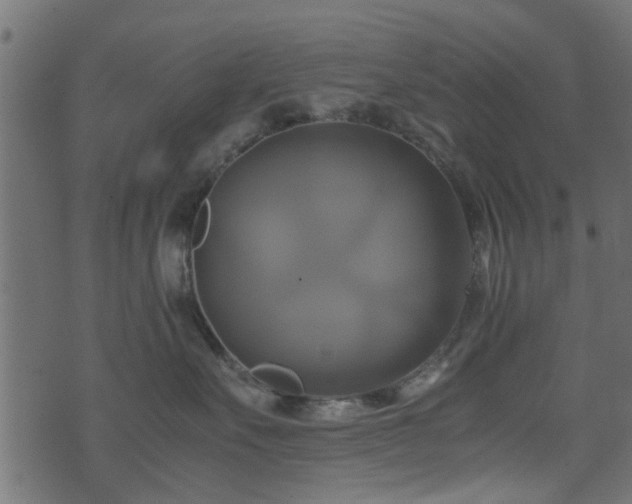 X0000071780527200606301223