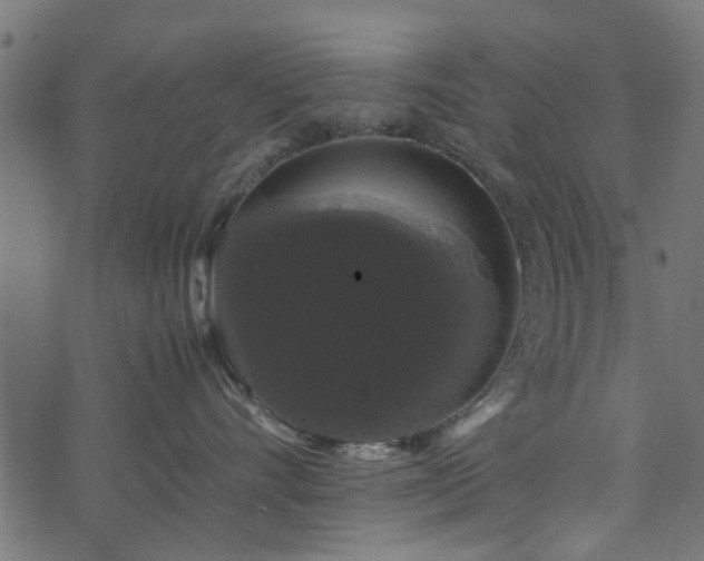 X0000071780528200606301223