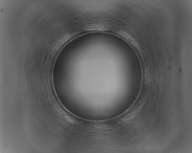 X0000071780529200606301222