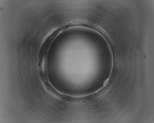 X0000071780530200606301222