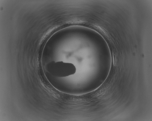 X0000071780531200606301222