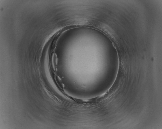 X0000071780532200606301222