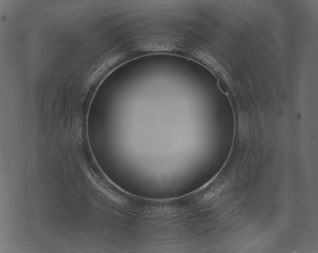 X0000071780533200606301222