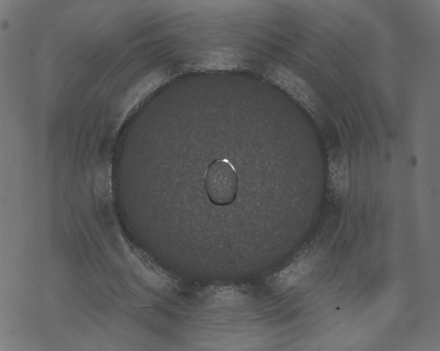 X0000071780534200606301222