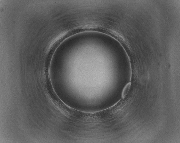 X0000071780535200606301222