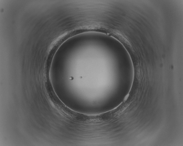 X0000071780536200606301222