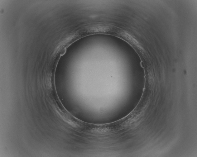 X0000071780537200606301222