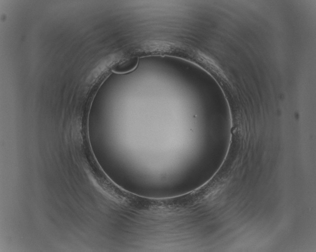 X0000071780538200606301222