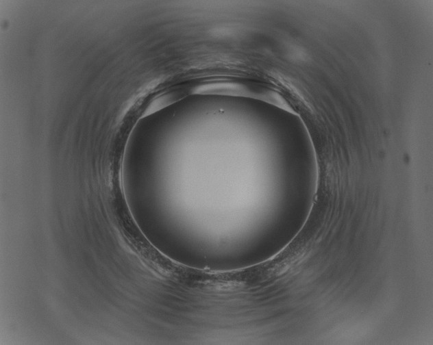 X0000071780539200606301222