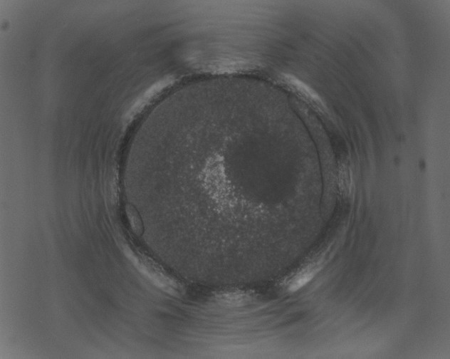 X0000071780540200606301222