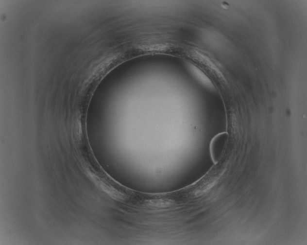 X0000071780541200606301223