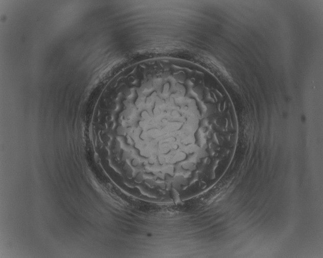 X0000071780542200606301223