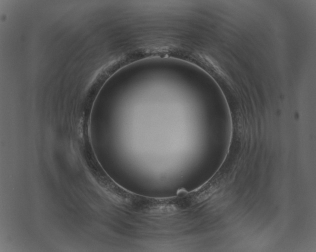 X0000071780543200606301223