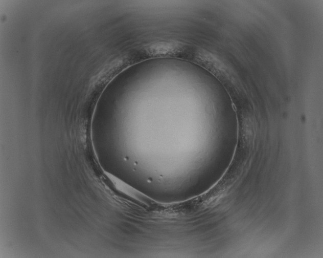 X0000071780545200606301223