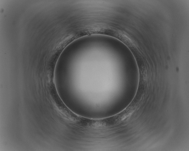 X0000071780546200606301223