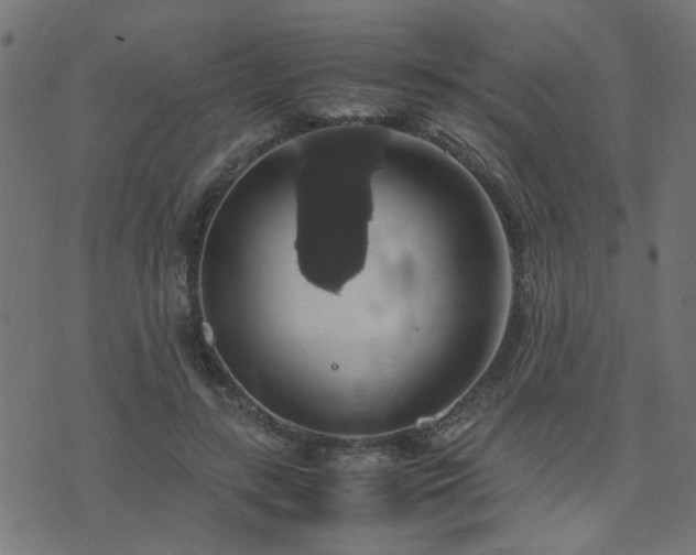 X0000071780547200606301223