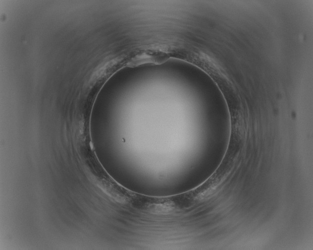 X0000071780548200606301223