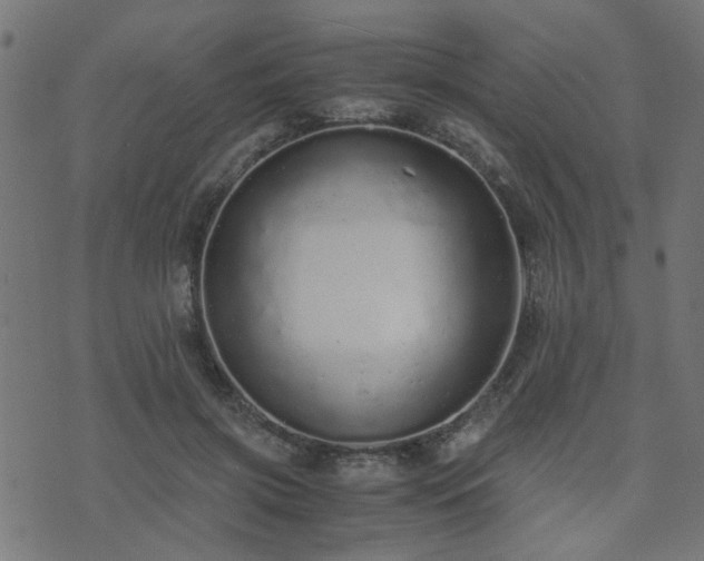 X0000071780549200606301223