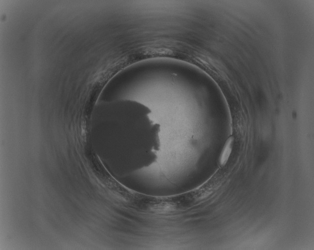 X0000071780551200606301223