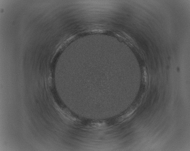 X0000071780552200606301223