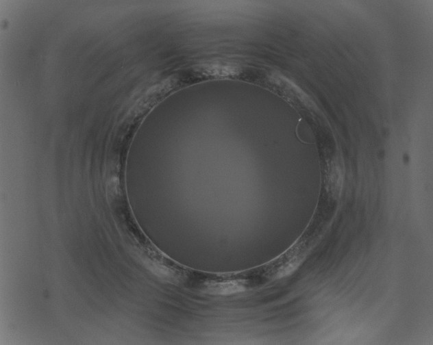 X0000071780553200606301223