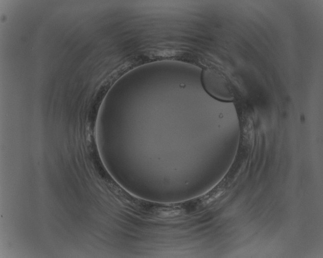 X0000071780555200606301223