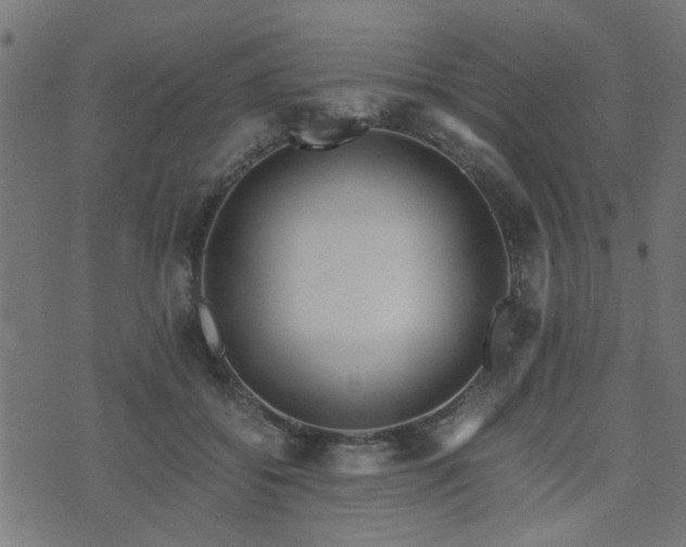 X0000071780556200606301223