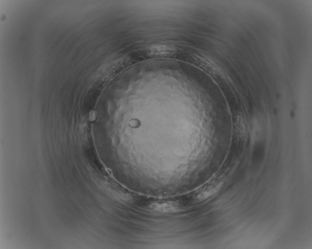 X0000071780557200606301223