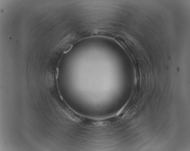 X0000071780558200606301223