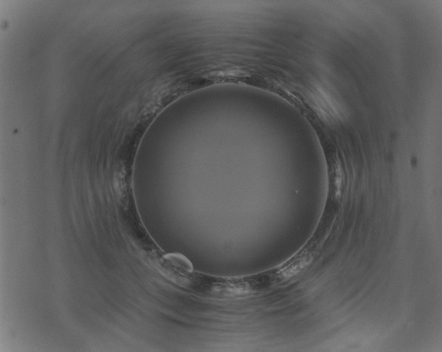 X0000071780559200606301223