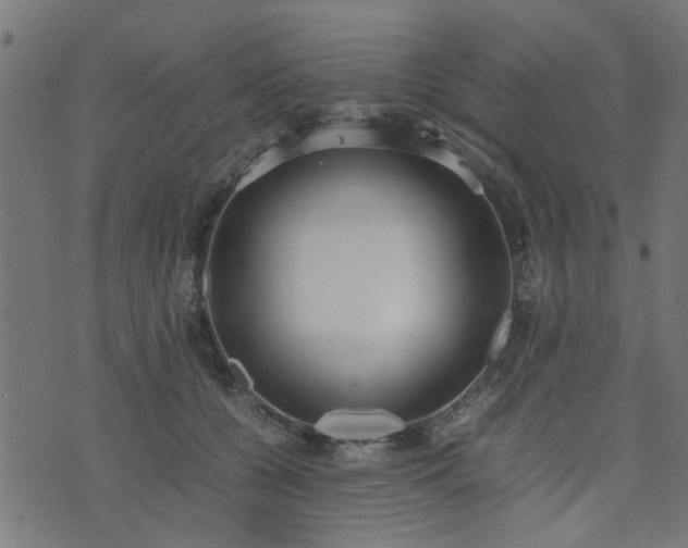 X0000071780560200606301223