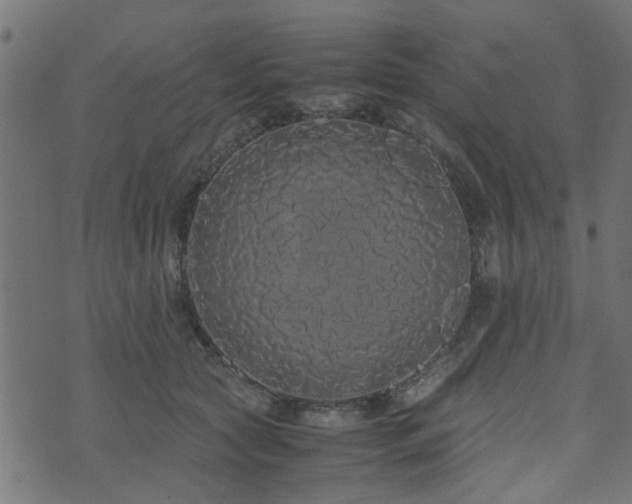 X0000071780561200606301223