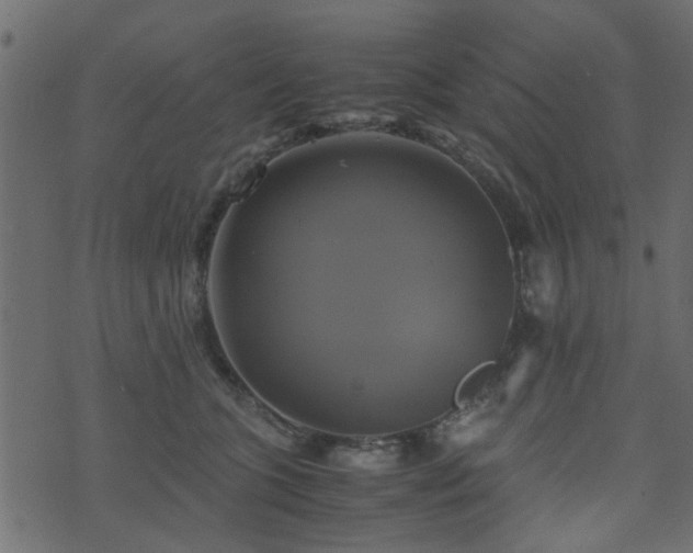 X0000071780563200606301223