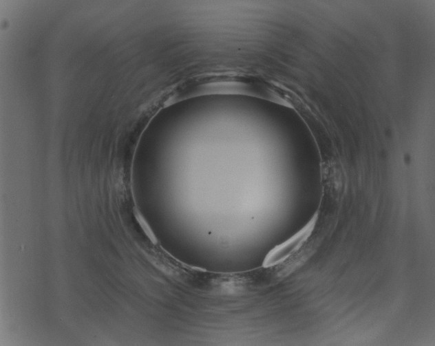 X0000071780564200606301223