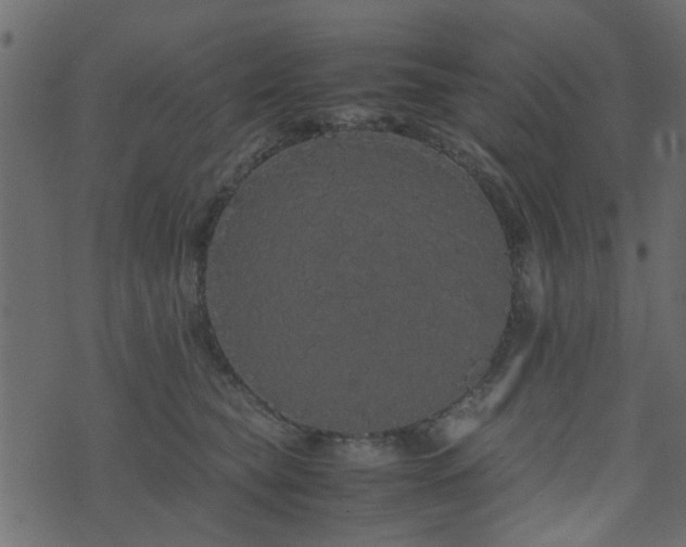 X0000071780565200606301223