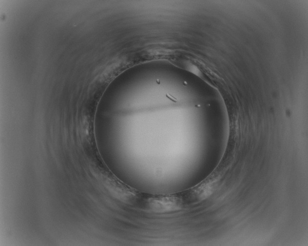 X0000071780567200606301223