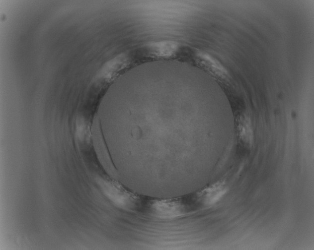 X0000071780568200606301223