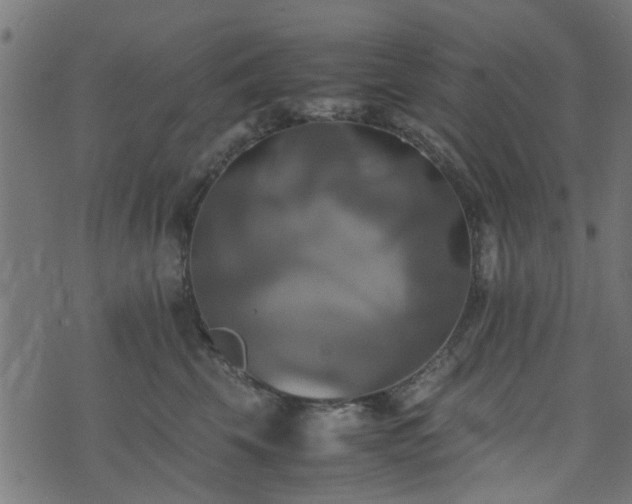 X0000071780569200606301223