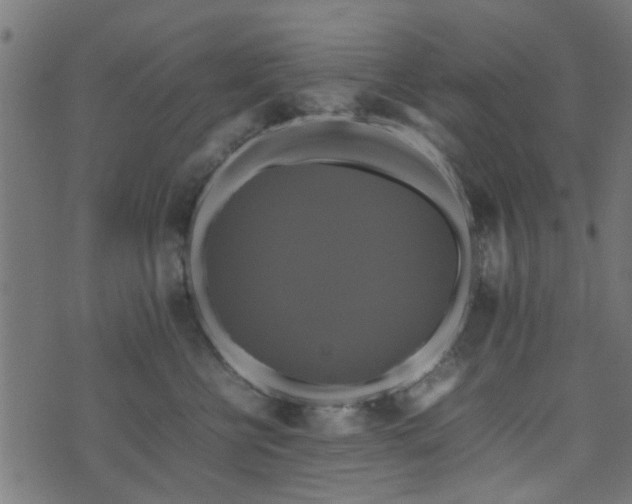 X0000071780570200606301223