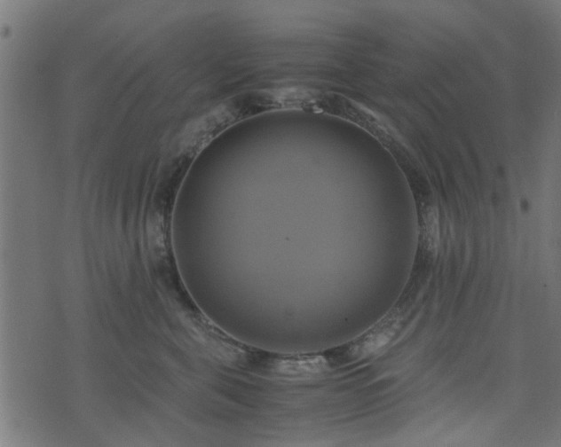 X0000071780571200606301223