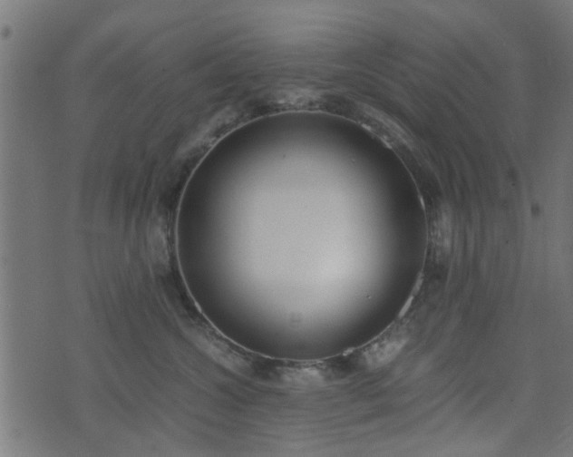 X0000071780572200606301223