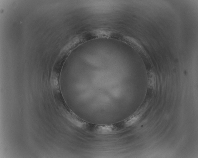 X0000071780573200606301223