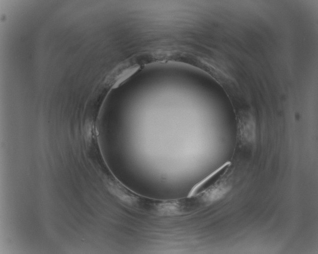 X0000071780574200606301223