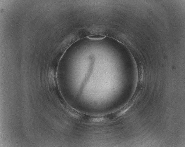 X0000071780575200606301223